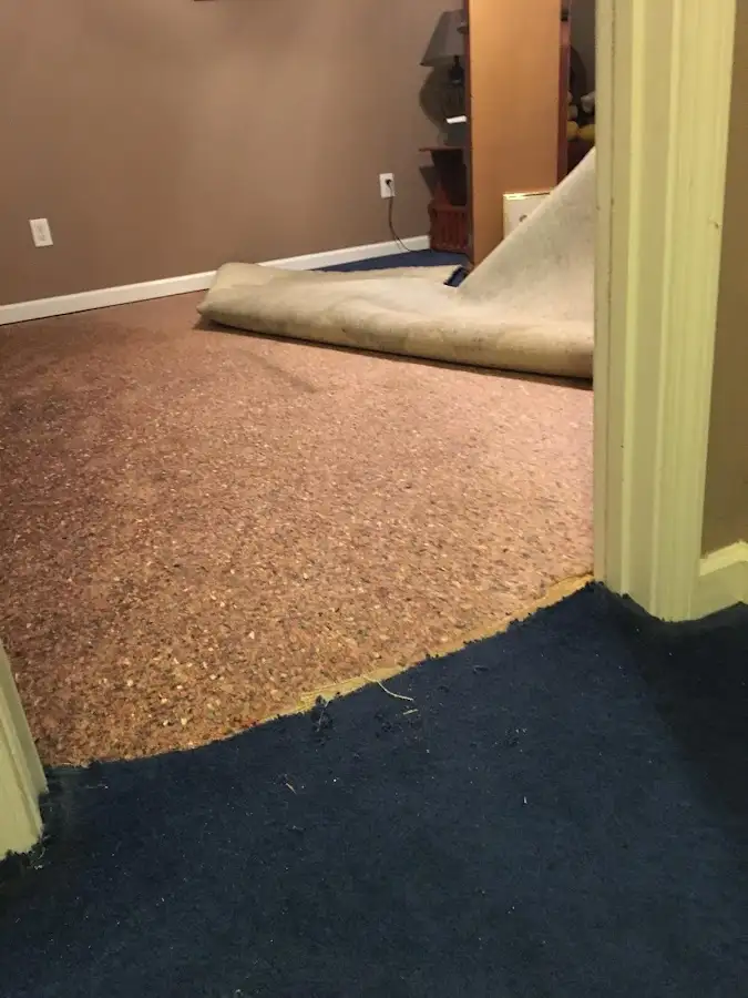 Carpet pad removal revealing water damage during Water Mitigation Services in Honey Brook