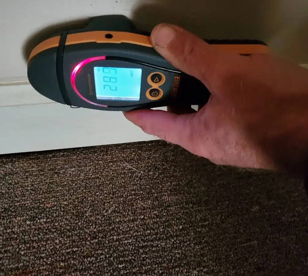 Moisture detection at baseboard during Mold Inspection & Testing in Honey Brook